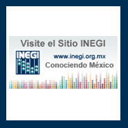 Instituto Nacional de Estadística y Geografía (INEGI)
